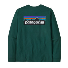 Patagonia L/S P-6 Logo Responsibility T Cascade