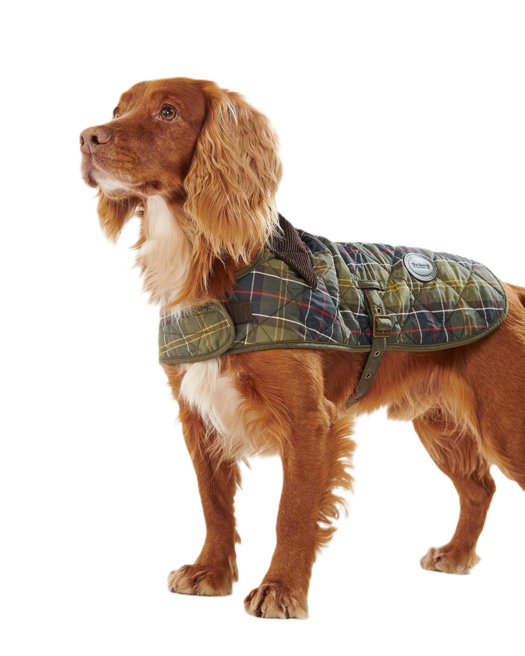 Barbour Tartan Dog Coat Classic