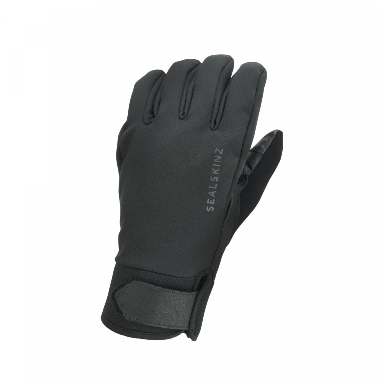 Sealskinz Wp All Weather Insulated Glove Black