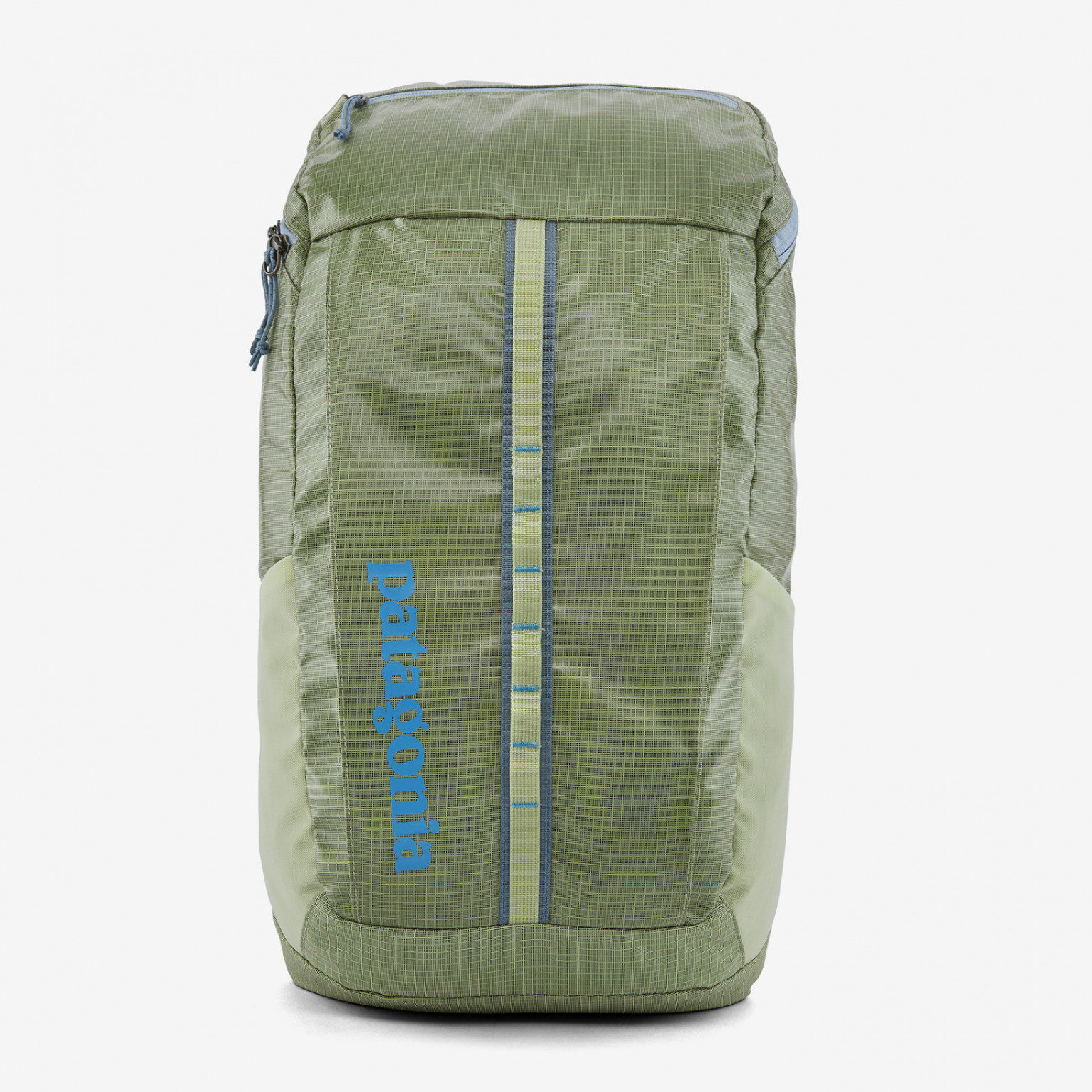 Patagonia Black Hole Pack 25 Lt Green