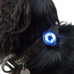 Lifesystems Dog Safety Light Black