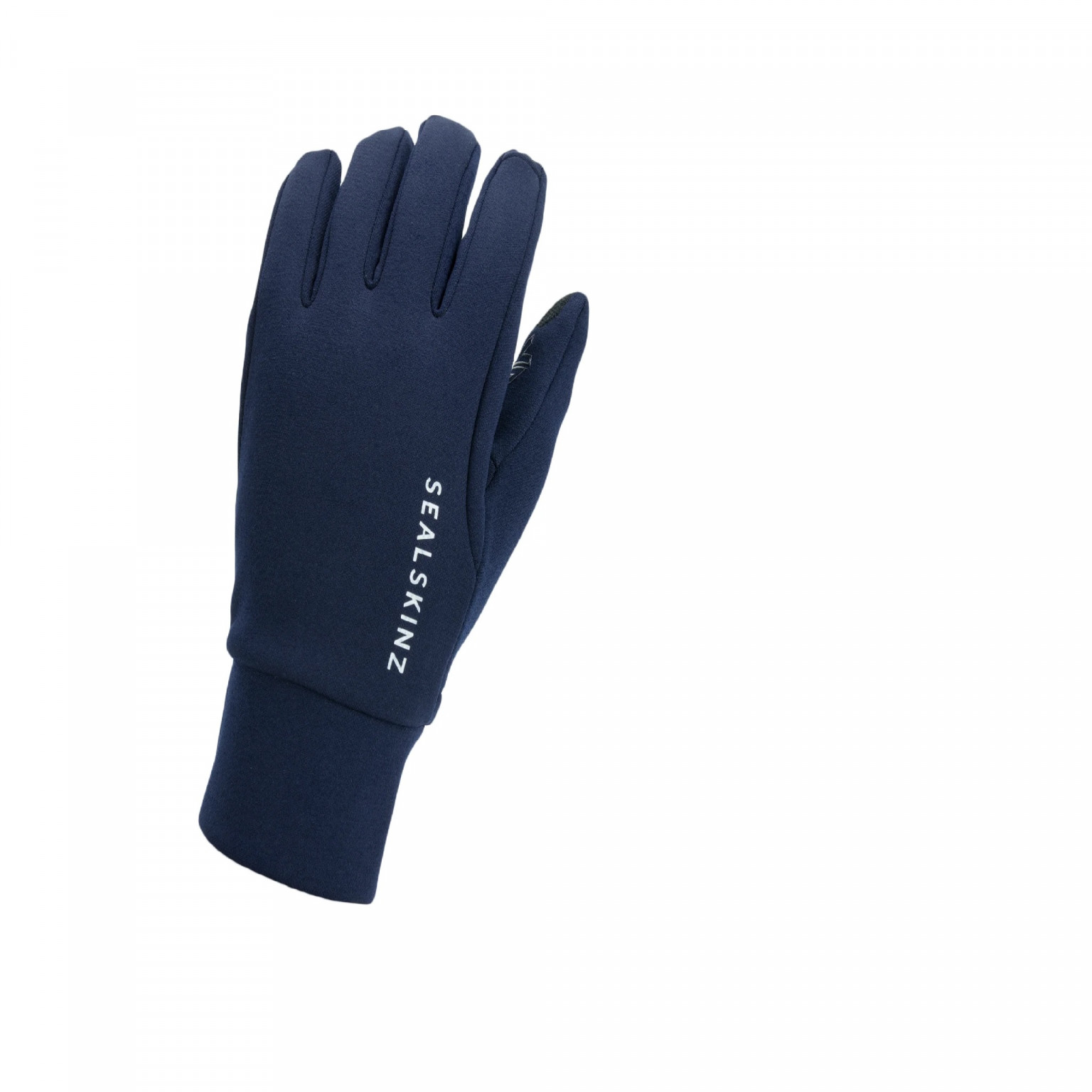 Sealskinz Wr All Weather Glove Black