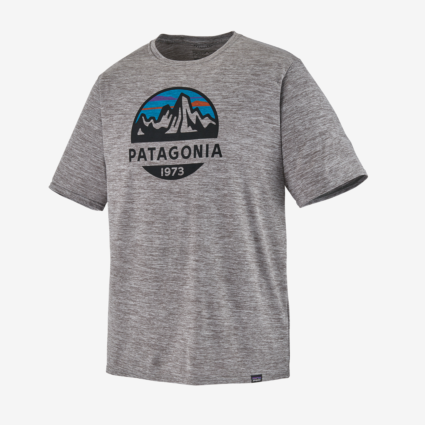 Patagonia Fitz Roy Horizon Logo T Grey